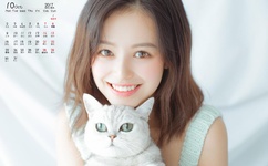 果冻星空爱豆国产在线播放